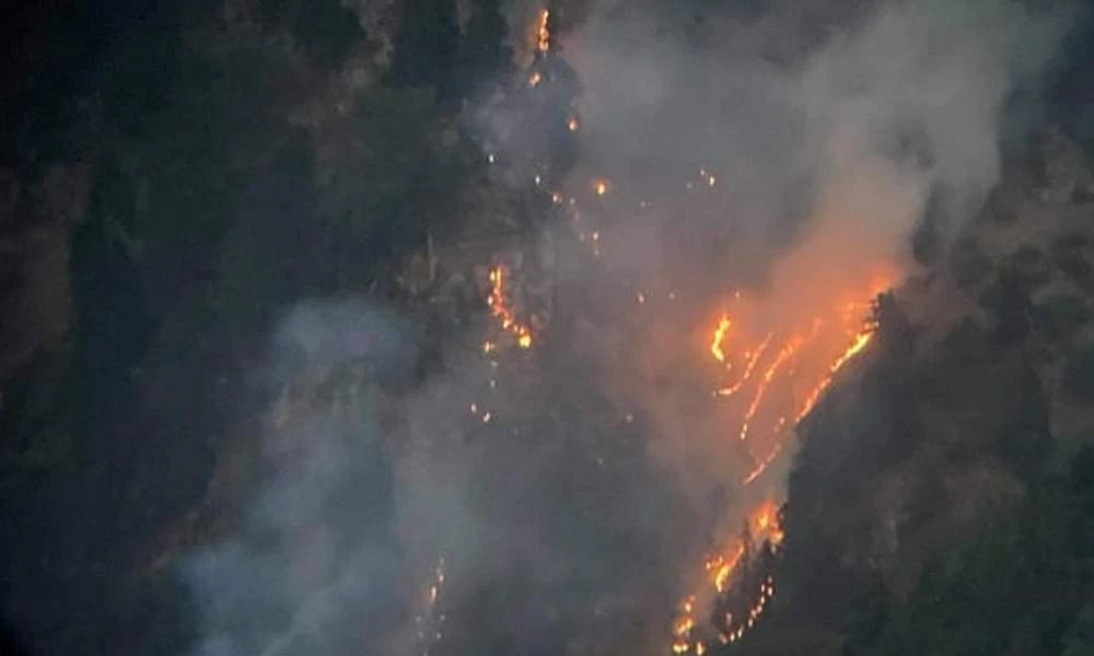 Φωτιά στα Στουρναρέικα Τρικάλων: Επικίνδυνη αναζωπύρωση πάνω από τα σπίτια